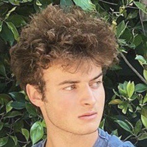 Topper Guild, 23 (TikTok明星)