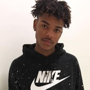 Traptastical image 3