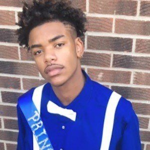 Traptastical image 4