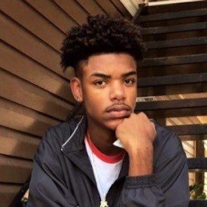 Traptastical image 6