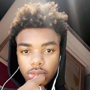 Traptastical image 7