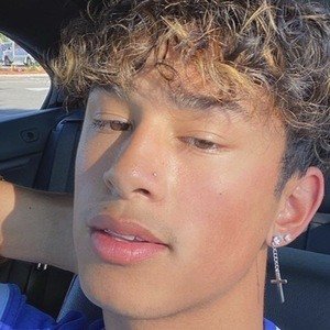 Trevor Brouhns image 4