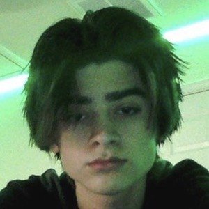 Trinity Spurlock, 21 (TikTok Star)