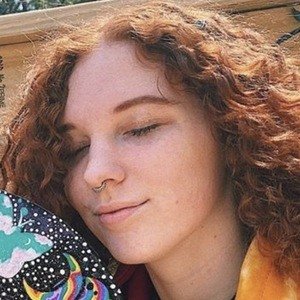 Trippy Draws, 28 (Painter)