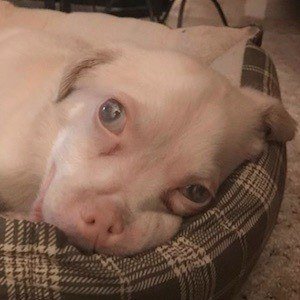 Tucker Wears Goggles image 3