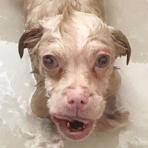 Tucker Wears Goggles image 5