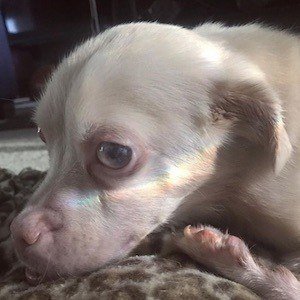 Tucker Wears Goggles image 6