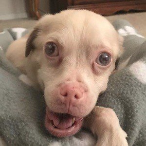 Tucker Wears Goggles image 8