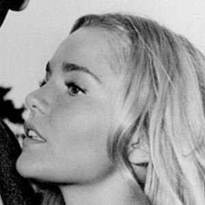 Tuesday Weld image 4