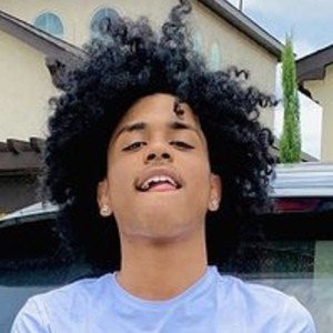 Tyler Stewart, 23 (Звезда Тиктока)