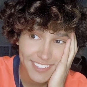 ubielzzzinho, 22 (TikTok Star)