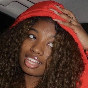 Vanni Alayah image 5