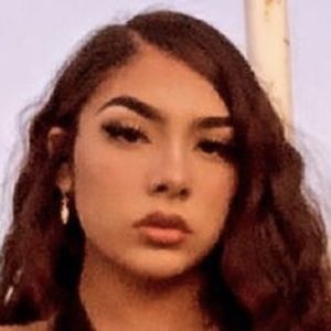 Videl Rodriguez image 2