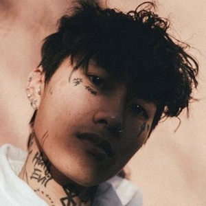viettrap, 26 (TikTok明星)