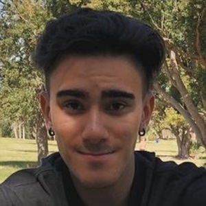 Vincent Mottola image 7