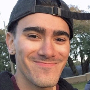 Vincent Mottola image 8