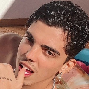 Vinicius Trevizano, 26 (TikTok Star)