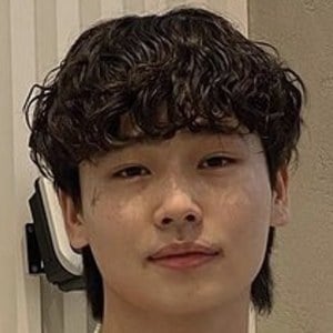 Vlad Hoshin image 4