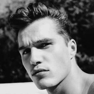 Ward Strootman image 5