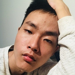 Wei, 24 (TikTok Star)