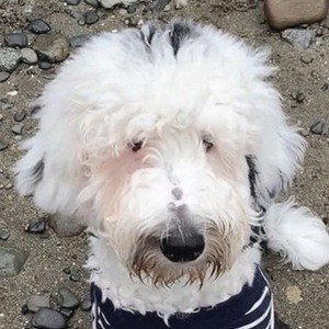 What About Bunny image 6