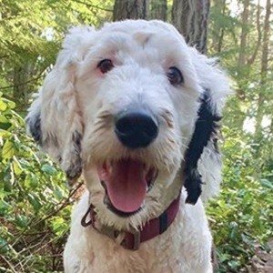 What About Bunny image 7