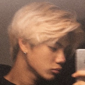 Whateverwilson image 4