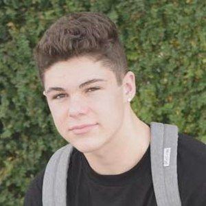 Whynot_Joey image 1