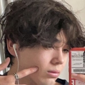 Will Green, 20 (TikTok Star)