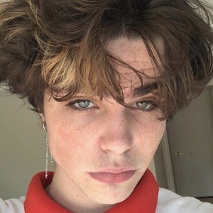 Will Hopkins, 23 (TikTok Star)