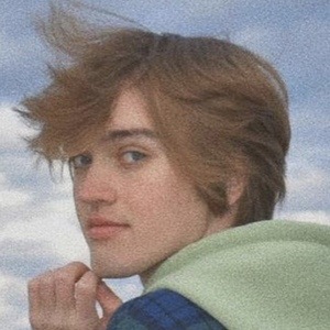 Will Howard image 3