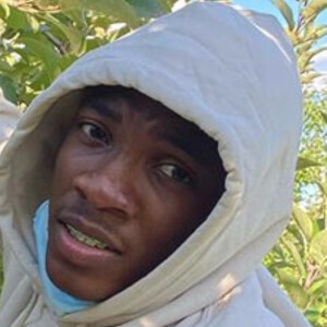 WillyNotWillie image 4