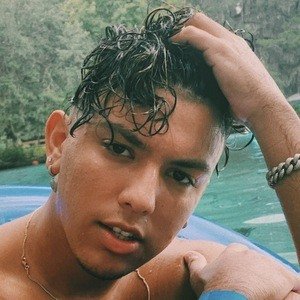 Willytube, 26 (TikTok Star)