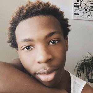 Xavier Martin image 5