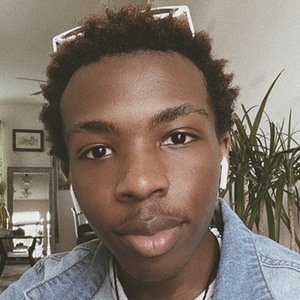 Xavier Martin image 6