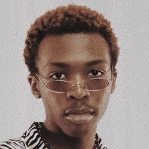 Xavier Martin image 7