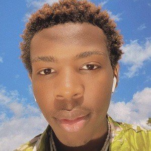 Xavier Martin image 8