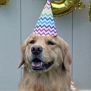 Xena Goldengirl_xena image 5