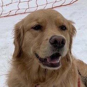 Xena Goldengirl_xena image 6