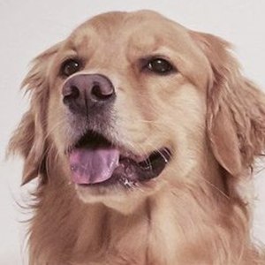 Xena Goldengirl_xena image 8