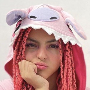 YaneiReach image 2