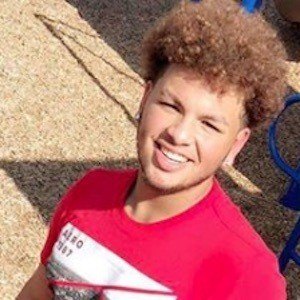 Yasier Fonseca image 7