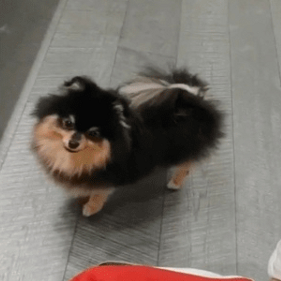 Yeontan image 1