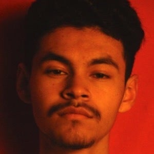 YSB Chromo, 22 (Звезда Тиктока)