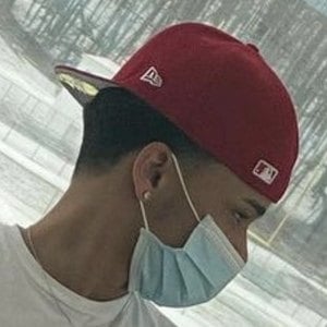 zamba.capalot image 6