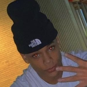 zamba.capalot image 7