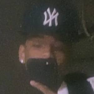 zamba.capalot image 8