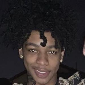 zay1n1