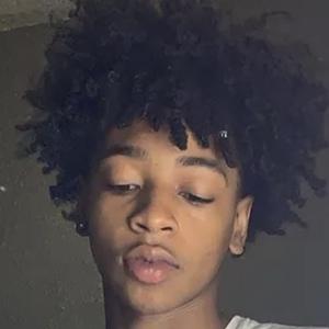 zay1n1