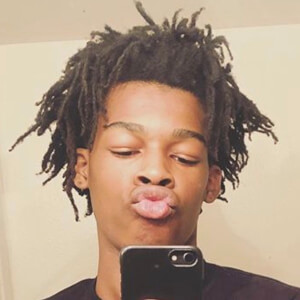 Zaylo TV, 24 (Star di YouTube)